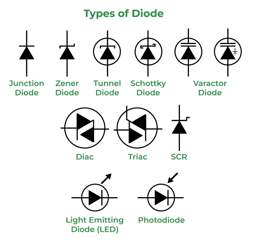 Different types of diodes used in circuits.
